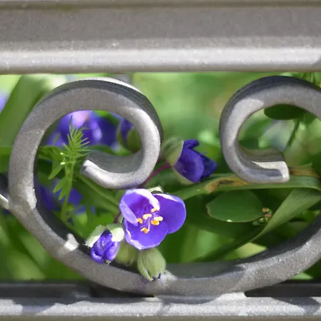 Stolzenfels-1 By Interhome Lejlighed *