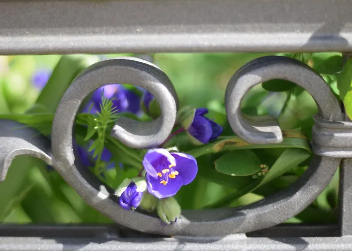 Stolzenfels-1 By Interhome Apartment *