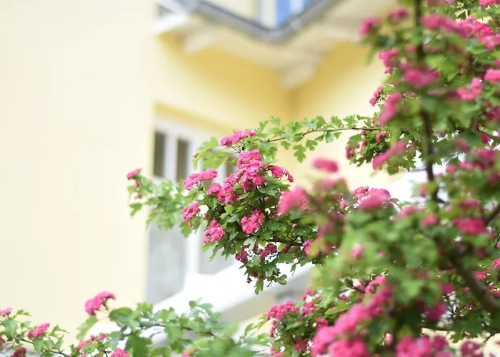 Apartment Stolzenfels-1 By Interhome