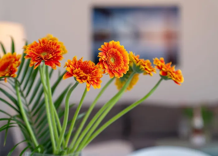 Stolzenfels-1 By Interhome Apartment